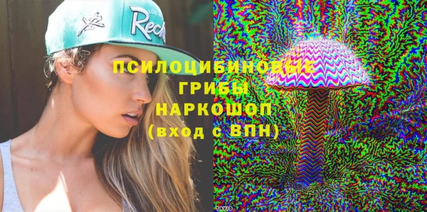 первитин Карпинск